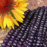 Amethyst, Purple, Rondelles, 7 mm